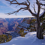 Grand Canyon And Snow Art Print