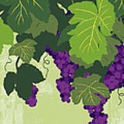 Graphic Illustration Of Wine Grapes On Art Print