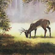 Grazing Deer Art Print