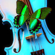 Green Butterfly On Blue Violin Art Print