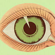 Green Eye Art Print