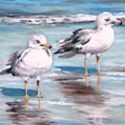 Gulls Art Print