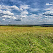 Harz National Park Art Print