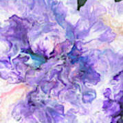 Hidden Pansy Art Print