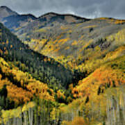 Highway 145 Fall Colors In The Spotlight Art Print