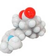 Himbacine Molecule Art Print
