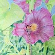 Hollyhock And Dragonfly Art Print