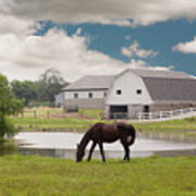 Horse & Barn, Shipshewana, Indiana '10 - Color Art Print