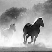 Horses On The Run Art Print