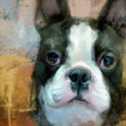 I Adore You Boston Terrier Art Art Print