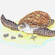 Illustration Of Sea Turtle With Babies Art Print