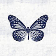 Indigo And White Butterfly 2- Art By Linda Woods Art Print