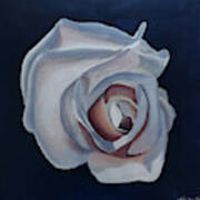 Indigo White Rose Art Print