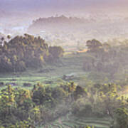 Indonesia, Bali, Forest Landscape Art Print