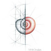Intuitive Geometry Shell 2 Art Print