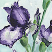 Iris Art Print