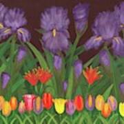 Irises And Tulips Art Print