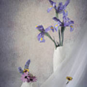 Irises Art Print