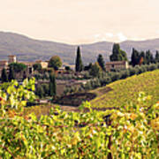 Italian Village And Vineyard In Fall Art Print