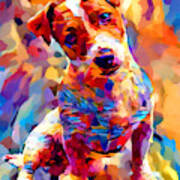 Jack Russell Terrier 3 Art Print