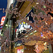 Japan, Tokyo, Cherry Blossoms In Front Art Print