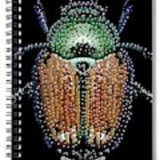 Japanese Beetle Cover Art Print