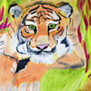 Jungle Eyes Art Print