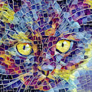 Kitten Mosaic Art Print