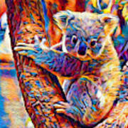 Koala 2 Art Print