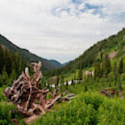 La Plata Canyon Art Print