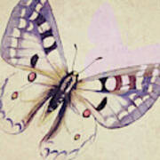 Lavender Butterfly On Cream Art Print