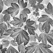 Leaves Black And White Plant Pattern Art Print