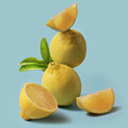 Lemon Fruit Still Life Art Print