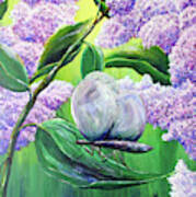 Lilac Blossom Art Print