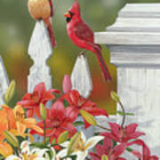 Lilies And Cardinals Art Print