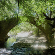 Limassol Cyprus Stream Art Print