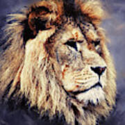 Lion King - 13 Art Print