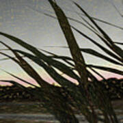 Liquid Pencil Drawing Giant Reeds After Sunset Art Print