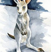 Little Kangaroo Art Print