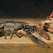 Lobster, Crab And Cucumber, 1827 Art Print