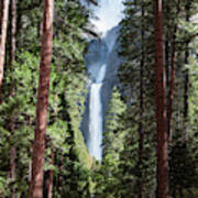 Lower Yosemite Fall And Forest, Yosemite Np, Usa Art Print