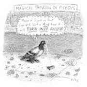 Magical Thinking In Pigeons Art Print