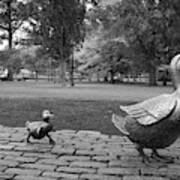Make Way For Ducklings In Monochrome - Boston Massachusetts Art Print