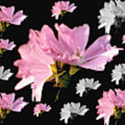 Mallow Bouquet Digital Collage Art Print