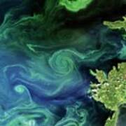 Marine Phytoplankton Bloom Art Print