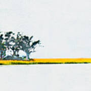 Marsh At Daufuskie Island Art Print