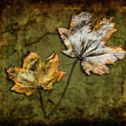 Metallic Leaf 2 Art Print