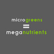 Microgeens And Meganutrients - Green And Gray Art Print