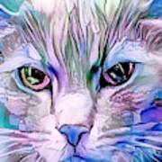 Mister Big Blue Face Kitty Art Print