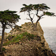 Monterey Peninsula Ii Color Art Print